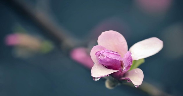 天津风水大师