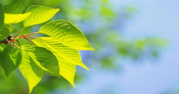天津风水大师