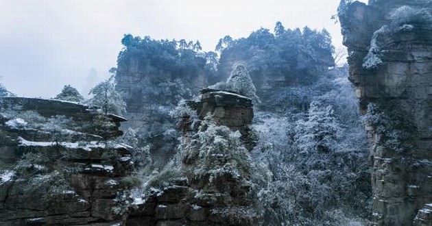 上海起名大师