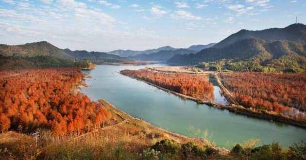 天津风水大师