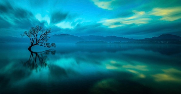 中国风水大师