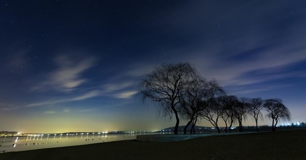 上海起名大师