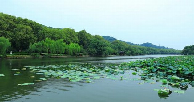 天津风水大师