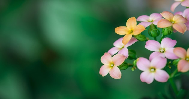 上海风水大师