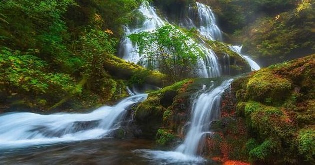 天津风水大师