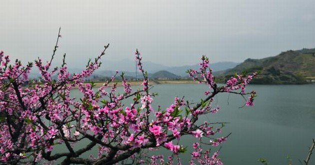 上海风水大师