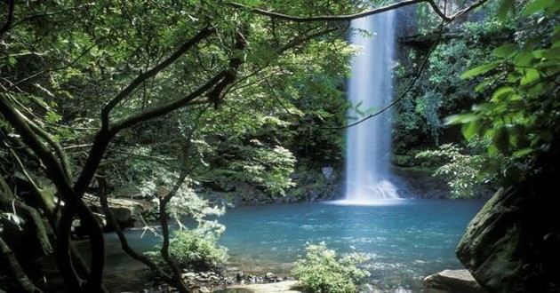 上海风水大师