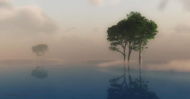 上海风水大师