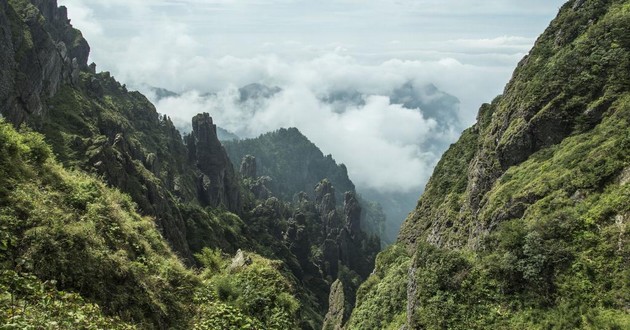 上海风水大师