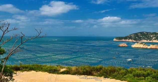 上海风水大师