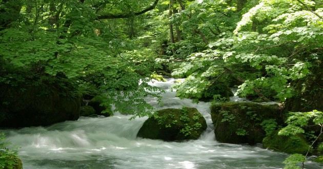 天津风水大师