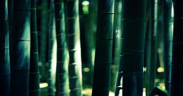 上海风水大师