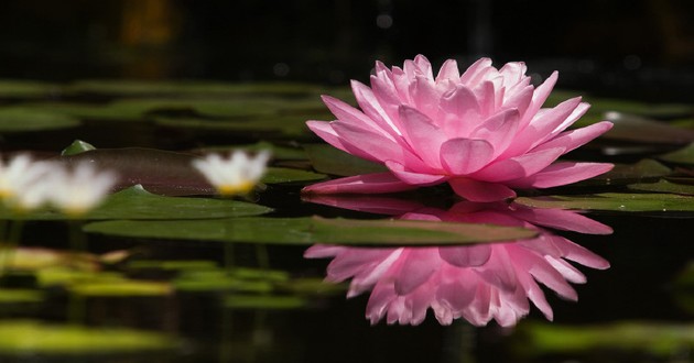天津风水大师