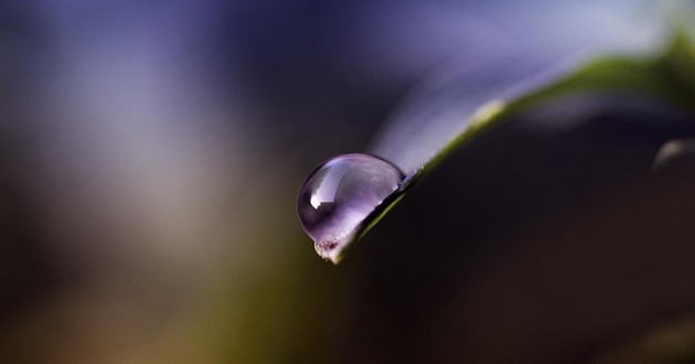天津风水大师
