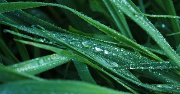 天津风水大师