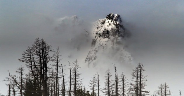 天津风水大师