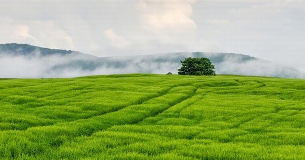 天津风水大师