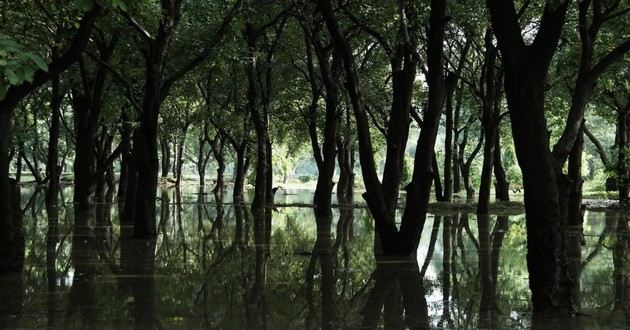 天津风水大师