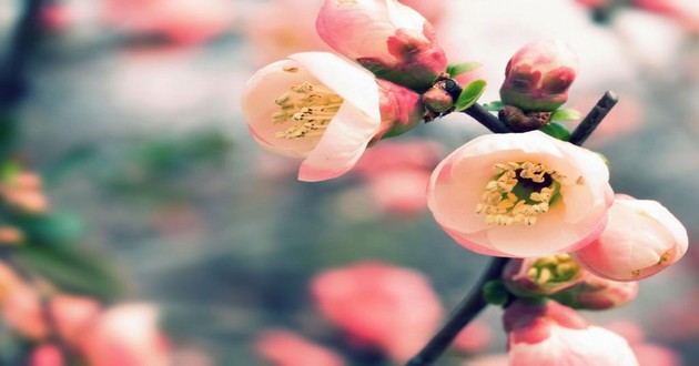 上海风水大师
