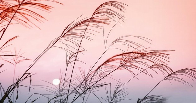 天津风水大师