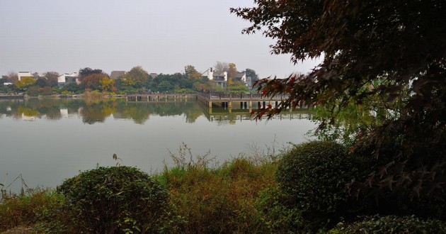 中国算命大师