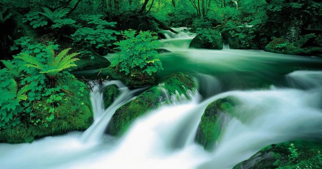 上海风水大师