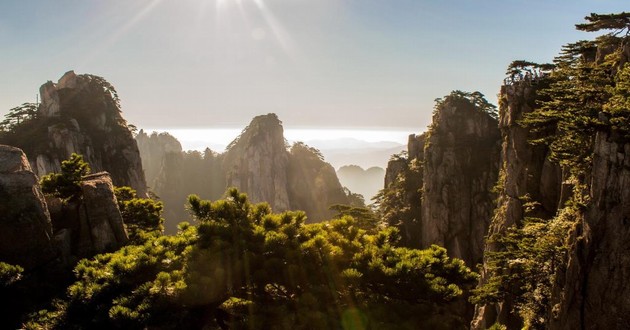 中国算命大师