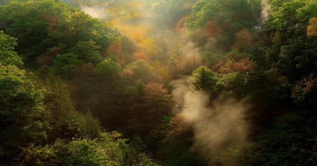 上海风水大师