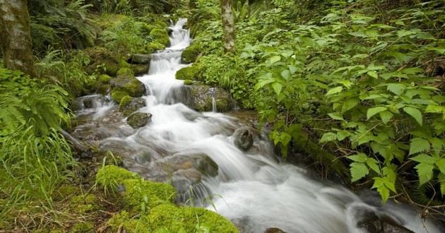 上海风水大师