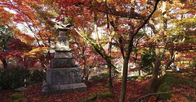 上海风水大师