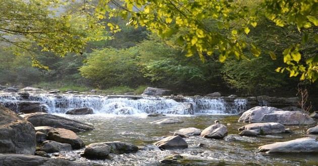 天津风水大师