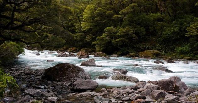 天津风水大师