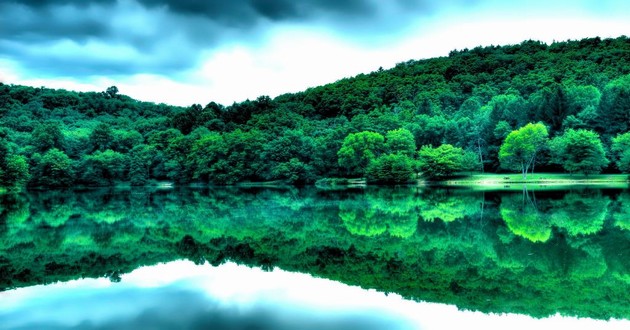 上海风水大师