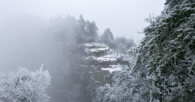 天津风水大师