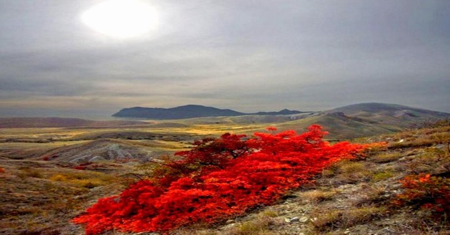 上海风水大师