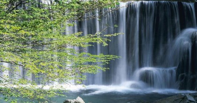 上海风水大师