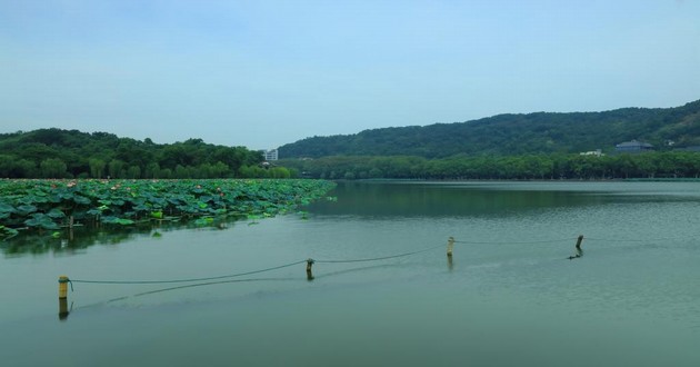 上海风水大师