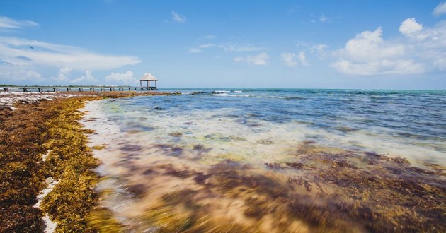上海风水大师