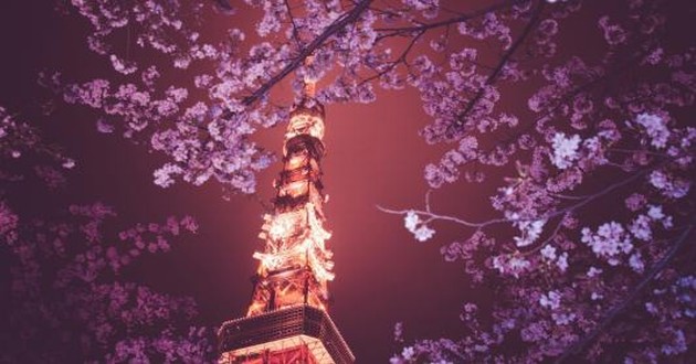 上海风水大师