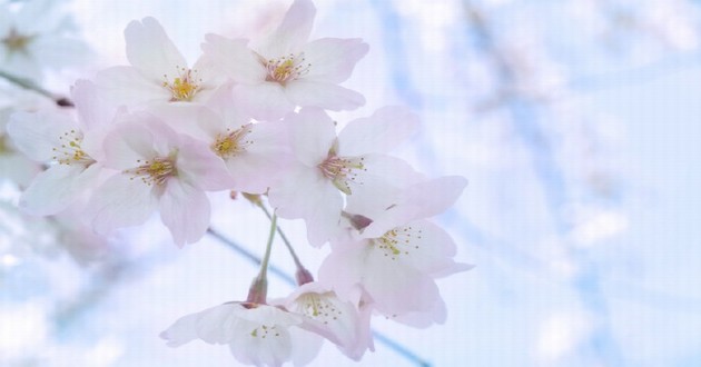 上海风水大师