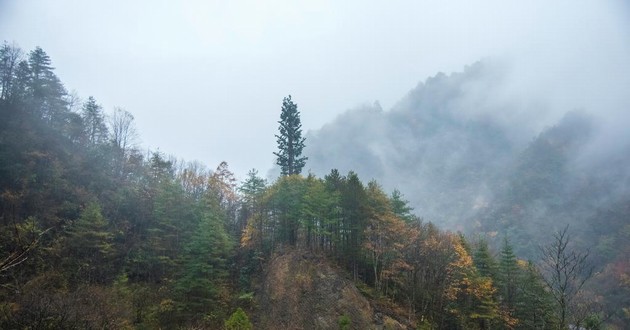 天津风水大师