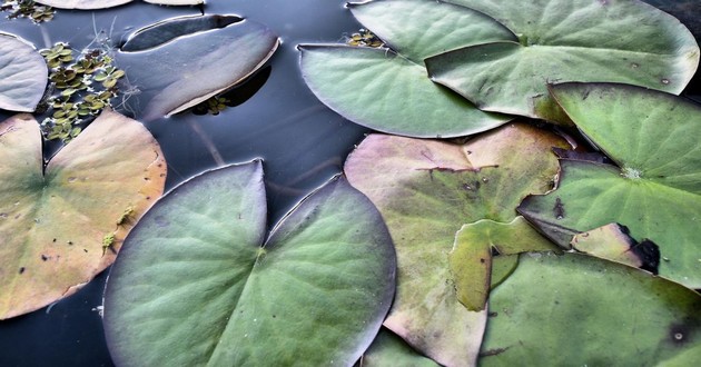 上海风水大师