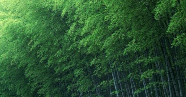 上海风水大师
