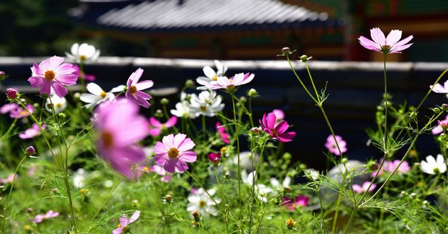 上海风水大师
