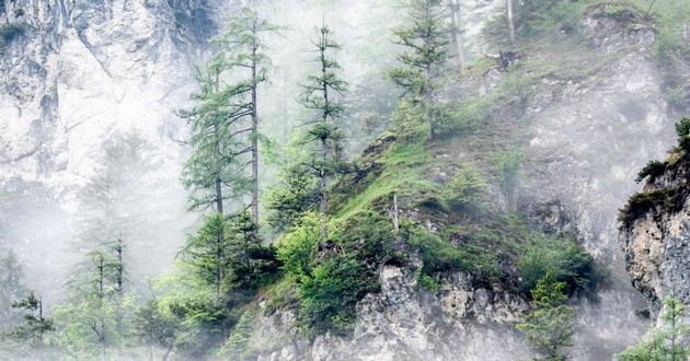 天津风水大师